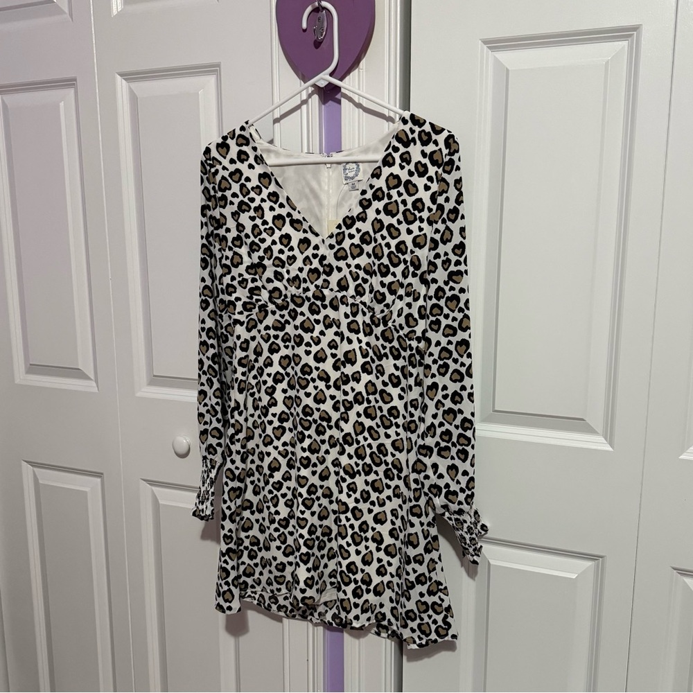 Francesca's Collections Leopard Print Mini Dress
